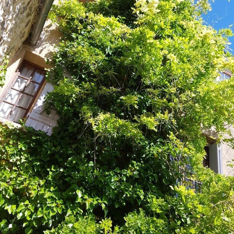 Le Balcon Camps-sur-l'Agly Exterior foto