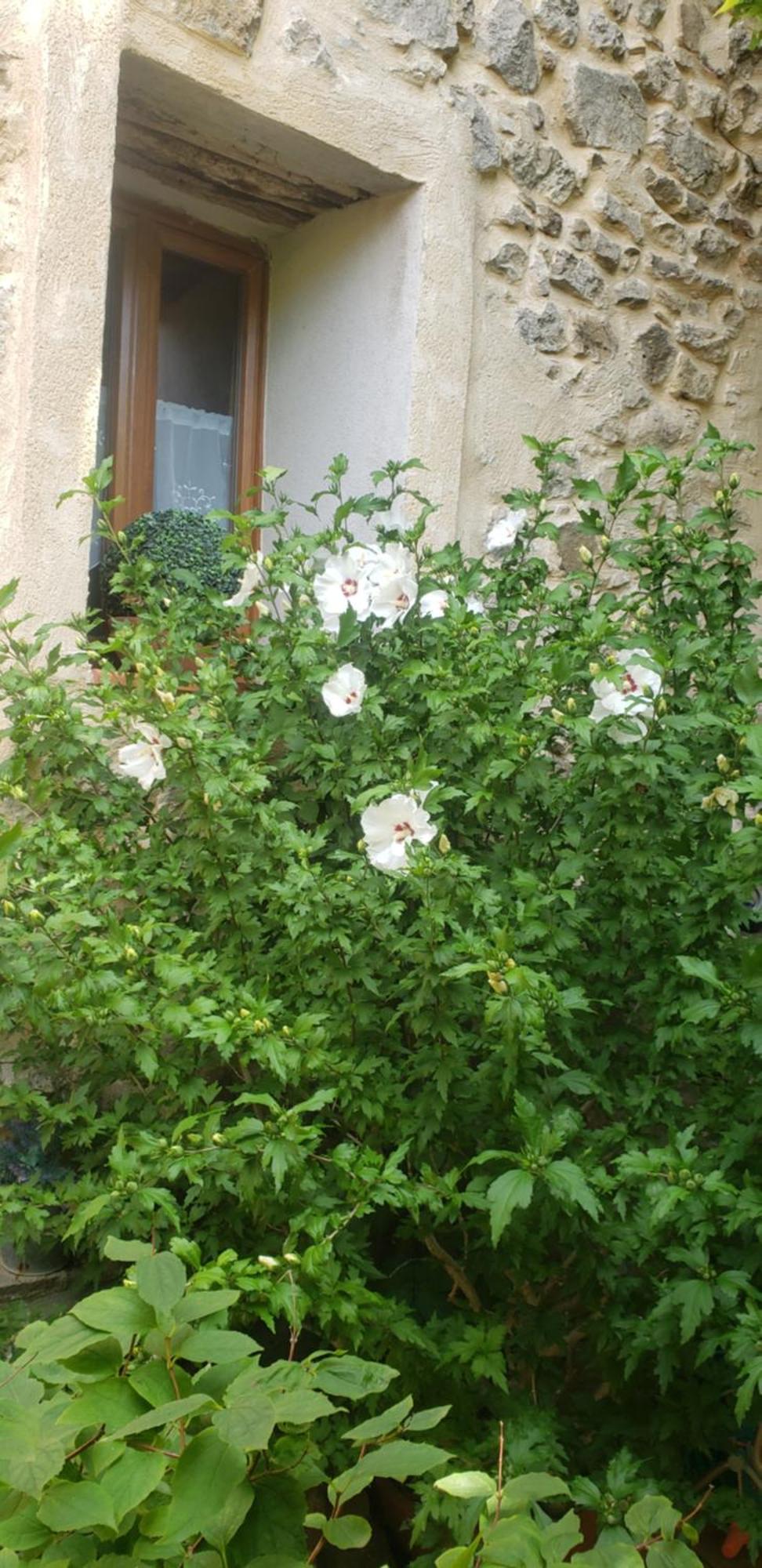 Le Balcon Camps-sur-l'Agly Exterior foto